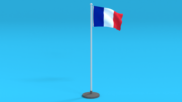 low poly seamless animated france flag 3D Model .c4d .max .obj .3ds .fbx .stl .blend 