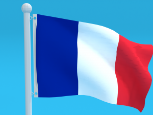 low poly seamless animated france flag 3D Model