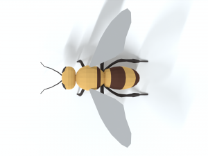 low poly cartoon honey bee 3D Model