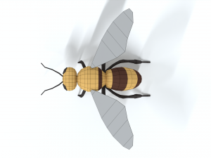 low poly cartoon honey bee 3D Model