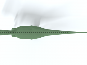 low poly cartoon dilophosaurus dinosaur Model 3D