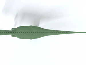 low poly cartoon dilophosaurus dinosaur 3D Model