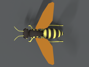 low poly cartoon hornet Modello 3D