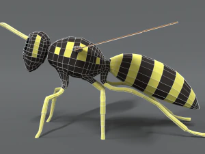 low poly cartoon hornet 3D Model