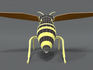 low poly cartoon hornet 3D Model