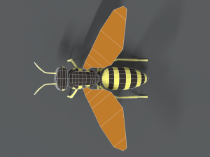 low poly cartoon hornet Modello 3D