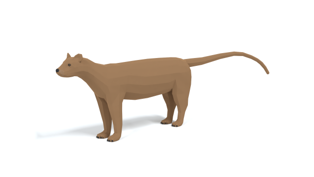 low poly cartoon fossa Modello 3D .c4d .max .obj .3ds .fbx .stl .blend 