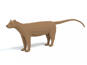 low poly cartoon fossa 3D Model