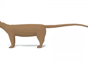 low poly cartoon fossa 3D Model