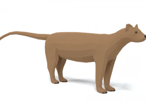 low poly cartoon fossa 3D Model
