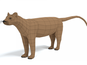 low poly cartoon fossa Modello 3D