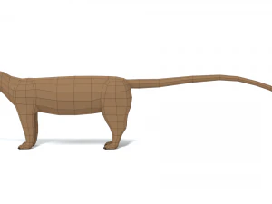 low poly cartoon fossa 3D Model