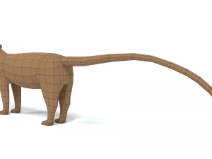 low poly cartoon fossa 3D Model