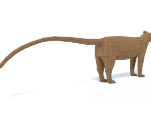 low poly cartoon fossa 3D Model