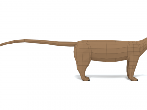 low poly cartoon fossa Modello 3D