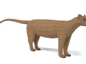 low poly cartoon fossa 3D Model