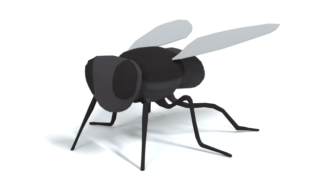 low poly cartoon fly 3Dモデル .c4d .max .obj .3ds .fbx .stl .blend 
