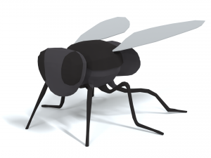 low poly cartoon fly 3Dモデル