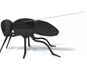 low poly cartoon fly 3Dモデル