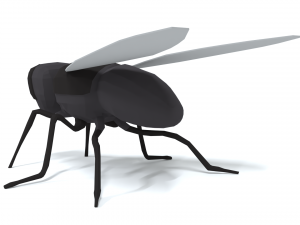 low poly cartoon fly 3Dモデル