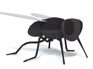 low poly cartoon fly 3Dモデル