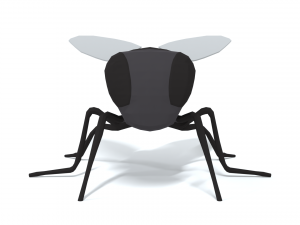 low poly cartoon fly 3Dモデル