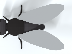 low poly cartoon fly 3Dモデル