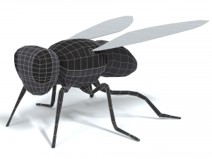 low poly cartoon fly 3Dモデル