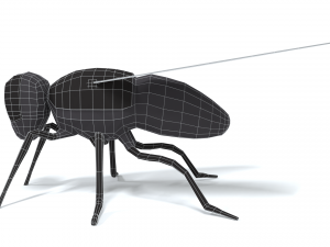 low poly cartoon fly 3Dモデル