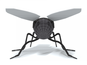 low poly cartoon fly 3Dモデル