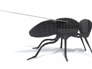 low poly cartoon fly 3Dモデル