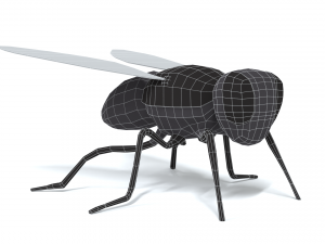 low poly cartoon fly 3Dモデル