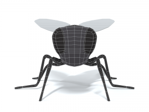 low poly cartoon fly 3Dモデル