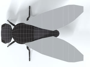 low poly cartoon fly 3Dモデル