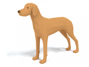 low poly cartoon hungarian vizsla dog Model 3D