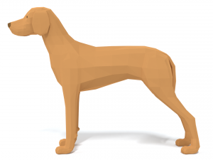 low poly cartoon hungarian vizsla dog 3D Model
