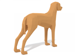 low poly cartoon hungarian vizsla dog 3D Model