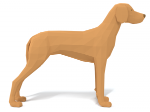 low poly cartoon hungarian vizsla dog 3D Model