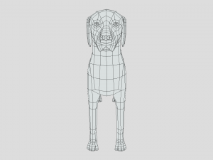 low poly cartoon hungarian vizsla dog 3D Model