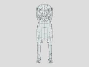 low poly cartoon hungarian vizsla dog 3D Model