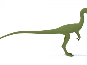 low poly cartoon compsognathus dinosaur 3D Model