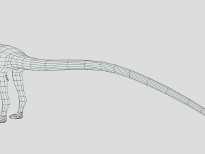 low poly cartoon compsognathus dinosaur Modelo 3D