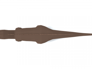 low poly cartoon carcharodontosaurus Modelo 3D
