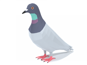 Low Poly Cartoon Pigeon 3D 모델