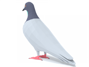 Low Poly Cartoon Pigeon Modello 3D