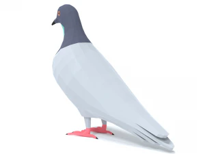 Low Poly Cartoon Pigeon 3D Model