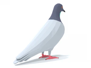 Low Poly Cartoon Pigeon 3D Model
