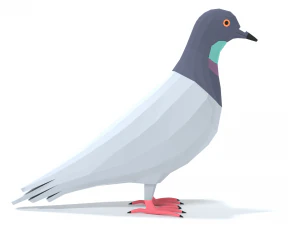 Low Poly Cartoon Pigeon 3D Model