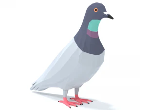 Low Poly Cartoon Pigeon 3D Model