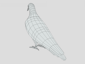 Low Poly Cartoon Pigeon Modello 3D